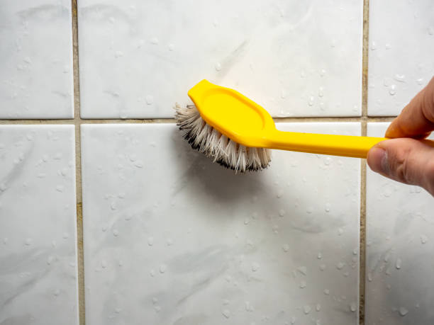 Best Residential Mold Remediation in Mount Vernon, NY