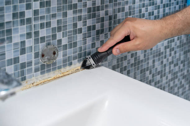Best Basement Mold Remediation in Mount Vernon, NY